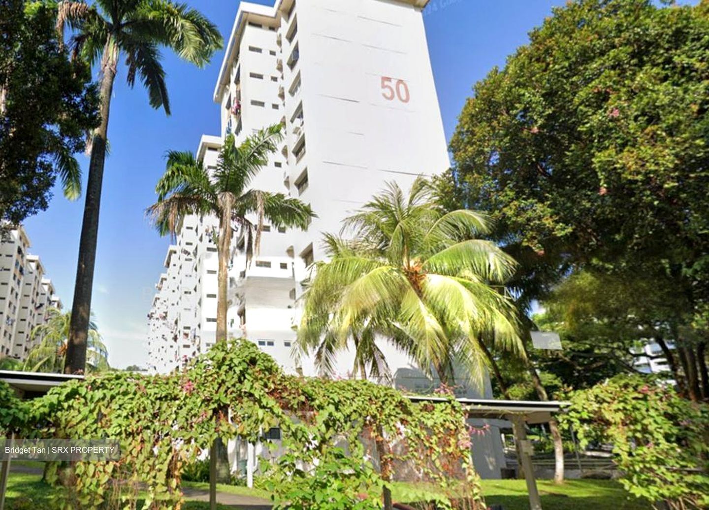 Blk 50 BLANGAH VIEW (Bukit Merah), HDB 4 Rooms #502529521